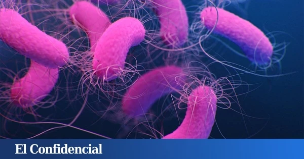 La IA descubre una nueva arma para combatir las bacterias resistentes a los antibióticos