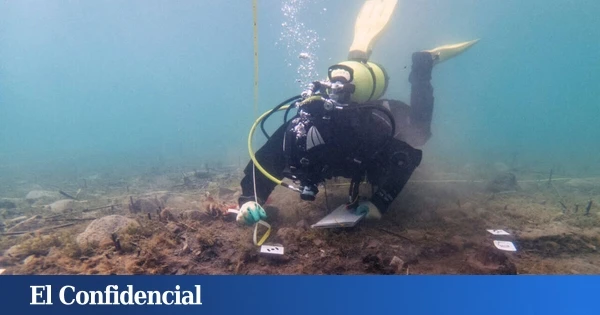 Exploran la ría de Arousa y encuentran por casualidad una especie desconocida para la ciencia