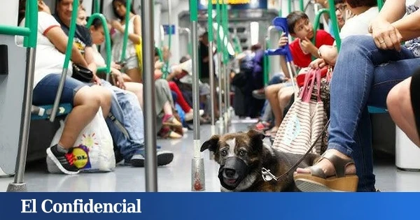 El aviso de Metro de Madrid sobre el error común (y muy peligroso) que hemos hecho todos: 