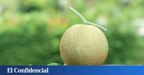 Ya puedes probarlo: llega el exclusivo 'Crown Melon' al mejor restaurante japonés de Barcelona