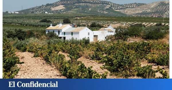 Un hombre tendrá que indemnizar con 4.000 euros a una persona de un grupo de amigos que alquiló su casa rural: así fue el fallo del juicio