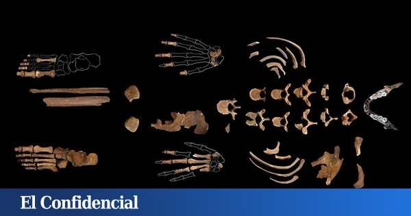 Humanos y grandes carnívoros convivieron hace 20.000 años en cuevas en España