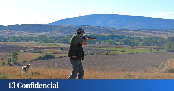 A fuego abierto por el plomo: las balas que enfrentan a científicos, cazadores y Gobierno