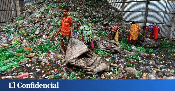 Europa no puede mirar hacia otro lado: el trabajo infantil empieza en tu cadena de suministro