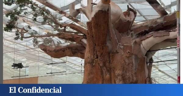 Todo lo que sabemos del nuevo restaurante Voltereta que abrirá en Alicante: el más grande, con mirador y estudio de botánica