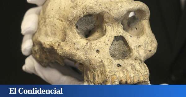 Investigadores descubren un cráneo humano que puede pertenecer a una especie desconocida