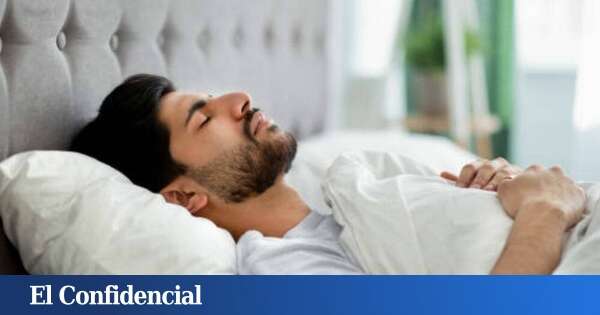 ¿Pueden nuestras neuronas predecir el futuro mientras dormimos? Esto revela un estudio