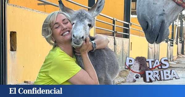 'Patas arriba', el formato animal de Canal Sur que rehúye de los tópicos televisivos