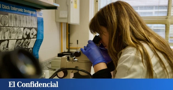 Las dos científicas españolas que investigan las enfermedades que la medicina ignoró