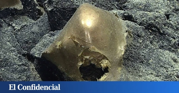 En 2023, un 'huevo de oro' apareció en Alaska a 3.250 metros de profundidad: por fin sabemos qué es