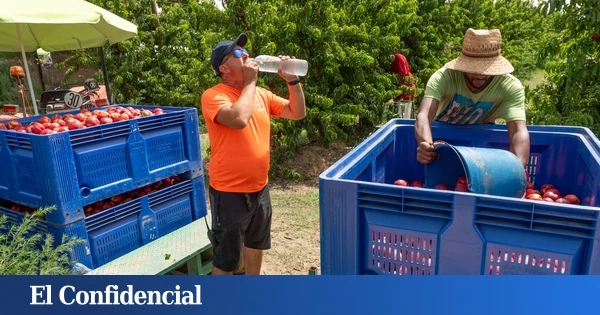 Esta es la gente que no deja de trabajar a 40 grados: 