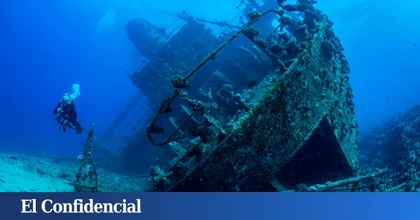 Exploran un naufragio español del siglo XVI y descubren cómo los gatos 'conquistaron' EEUU