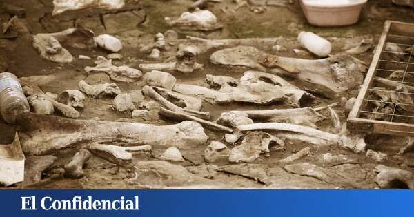 El análisis genético de unos restos de 1.500 años en Perú revela sacrificios humanos