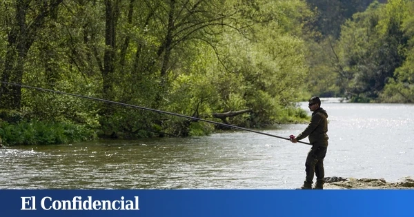 España se queda sin salmones y a nadie parece preocuparle: “Estamos en un punto de no retorno”