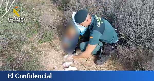 Descubren a seis cachorros abandonados en un saco en Níjar: la Guardia Civil identifica al culpable