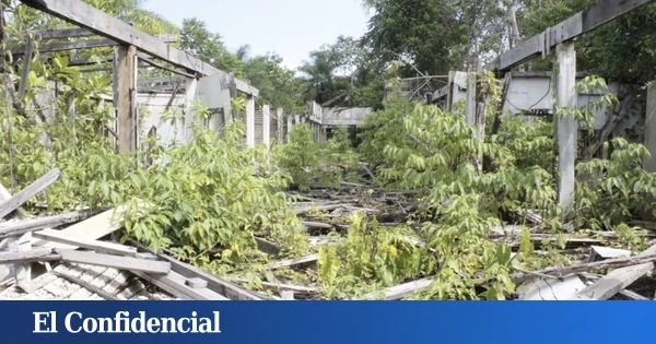 En 1927, Henry Ford construyó una ciudad 'a lo Elon Musk' en el Amazonas: fue una idea pésima
