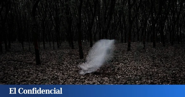 Estudian el cerebro humano y descubren que algo invisible hace que el 35% de la gente tenga experiencias paranormales