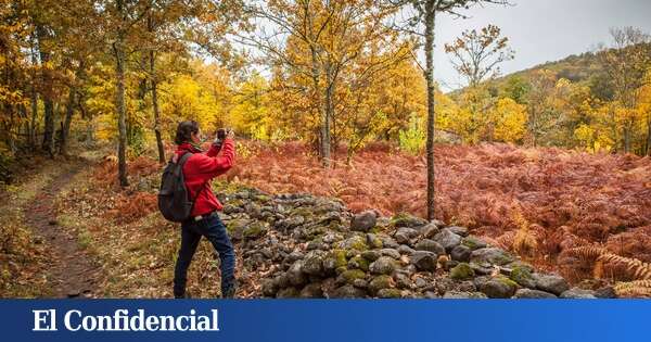 Ni el valle del Jerte ni la sierra de Gata: el bosque mágico de Extremadura que ha sido declarado Fiesta de Interés Turístico Internacional