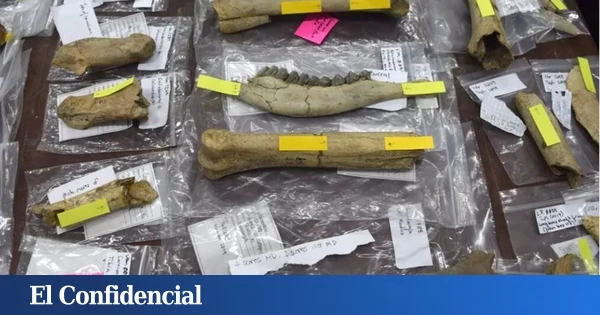 Un estudio muestra evidencia humana en Eurasia mucho antes de lo que se creía