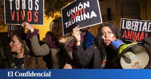 El TSJCyL deja sin efecto la medida cautelar que impidió el festejo del Toro Jubilo de Medinaceli