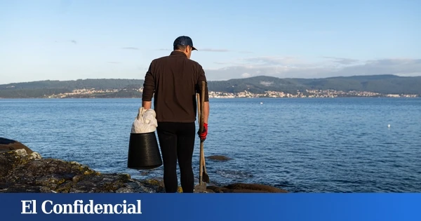 El cambio climático amenaza al mejillón gallego: la producción cae un 35% en dos años