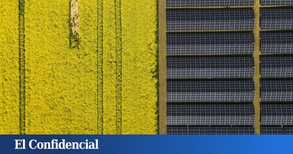 Reino Unido estudia el aire y encuentra un 'enemigo invisible' que sabotea hasta un tercio de la producción de los paneles solares