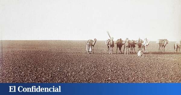 ¿El Sáhara fue alguna vez verde? Hace 8.000 años sí, según un nuevo descubrimiento