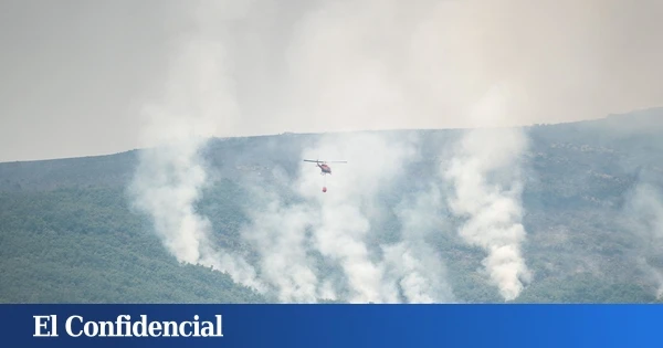 Castilla y León cifra la catástrofe natural: el fuego afecta a un tercio de sus espacios protegidos