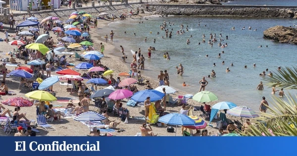 El cambio climático propicia que microalgas tóxicas proliferen en las aguas de Murcia