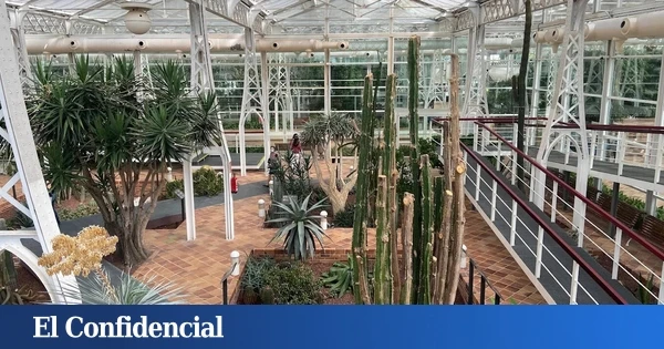 El infravalorado (y gratuito) jardín botánico de Madrid con más de 9.000 plantas de tres ecosistemas diferentes al que tienes que ir sí o sí este verano