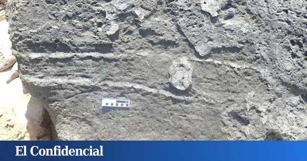 Rompen una roca en Sudáfrica y encuentran un 'tesoro' biológico de hace 126.000 años