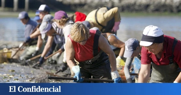 Ellas recogen gran parte del marisco que España come, pero no alcanzan cargos altos