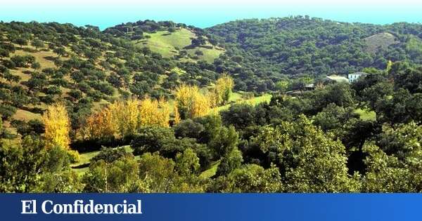 El pueblo de Huelva que tienes que visitar si quieres casarte con tu pareja, según la leyenda