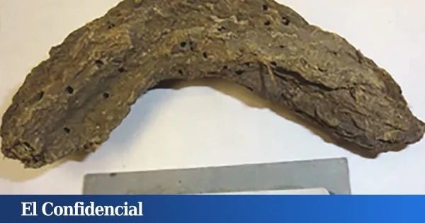 Extraen ADN de un excremento humano con 1.300 años y abren 