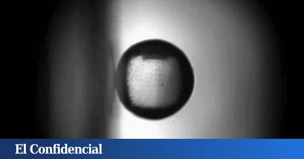 Parece una simple bola pegada a una pared, pero ha roto las leyes de la física