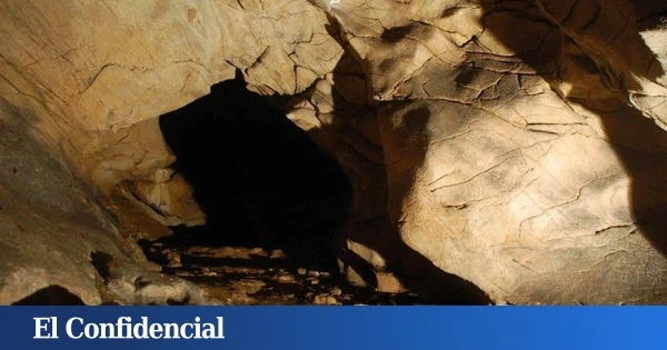 El último escondite de los neandertales pudo ser una cueva de osos cavernarios situada en Galicia