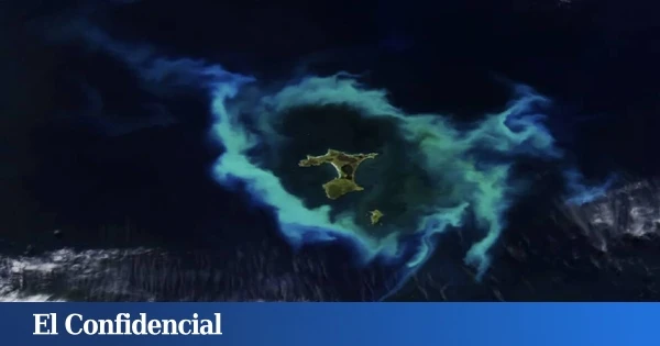 La NASA encuentra un 'anillo' rodeando una isla: es resultado de un fenómeno que ha matado a cientos de ballenas