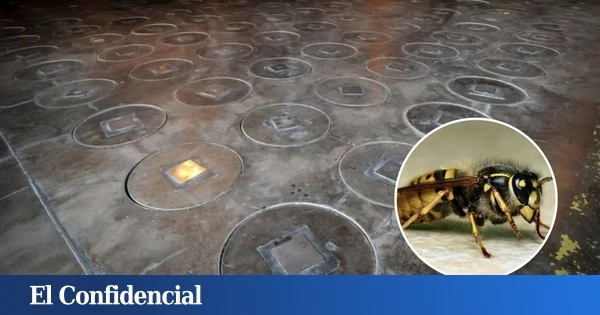 Estudian una antigua fábrica de bombas nucleares y se encuentran un nido de avispas radiactivas
