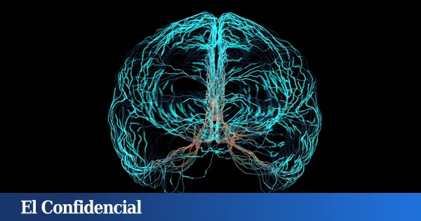 Una técnica pionera desarrollada en España permite medir (y evitar) los daños de un ictus