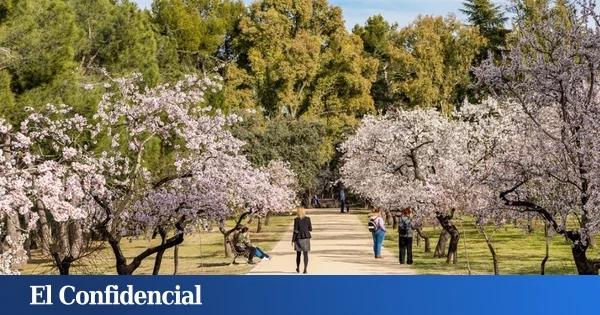 De residencia de verano a escenario de cine: el histórico parque (famoso por la floración de sus almedros) que ya es BIC