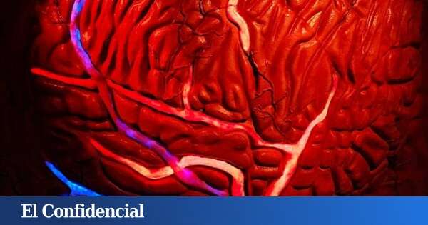 Ni para aprensivos ni para miedosos: así es posible viajar dentro de un cuerpo humano