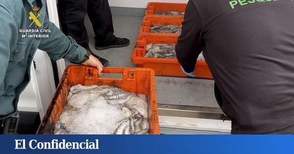 Redada en un restaurante: intervienen 60 kilos de pulpo, sepia y gambas sin control sanitario