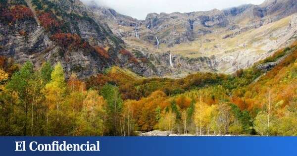 Los bosques más mágicos de Huesca para salir a pasear este otoño