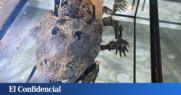 Un fósil con 300 M de años le dice a la ciencia que algo parecido al dinosaurio de 'Toy Story' existió de verdad