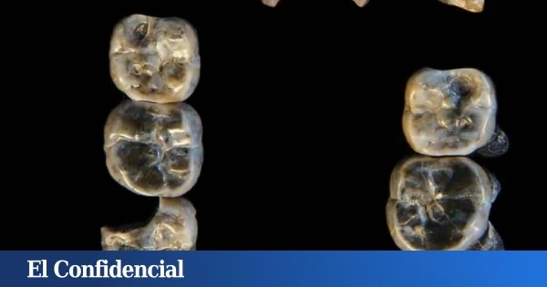 Giro de 180 grados en la evolución humana: Investigadores encuentran restos de una especie de homínido en Etiopía
