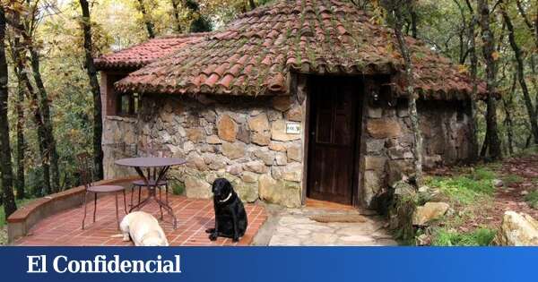 Cabañas 'pet friendly' a menos de 1 hora de Madrid para celebrar tu próxima escapada romántica: casi nadie las conoce