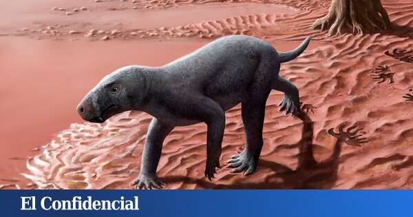 El origen de los mamíferos está en Mallorca: hallan su antepasado más antiguo del mundo