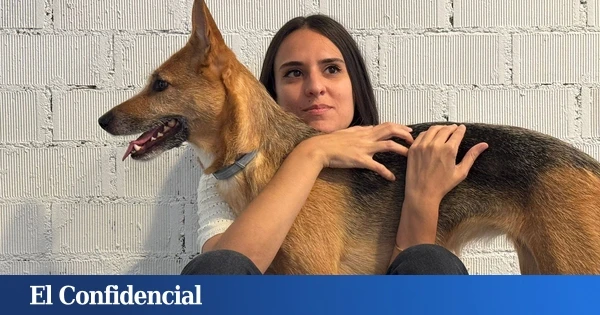 Una ópera prima sobre el maltrato psicológico es el gran fenómeno de la novela española de 2025