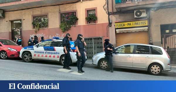 Tres detenidos y 600 plantas de marihuana intervenidas en un operativo policial en Girona