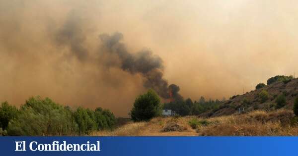 Más de 100 personas trabajan para contener un incendio forestal declarado en Hellín, municipio de Albacete